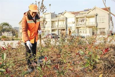曲阜市陵城鎮環境衛生整治