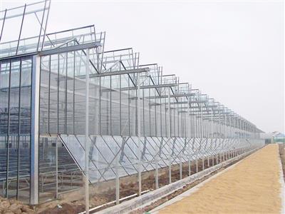 兗州第一書記高效節能日光溫室建設項目