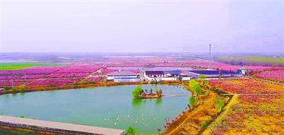 2023年鄒城市太平鎮皇甫新村生態蓮藕工程項目
