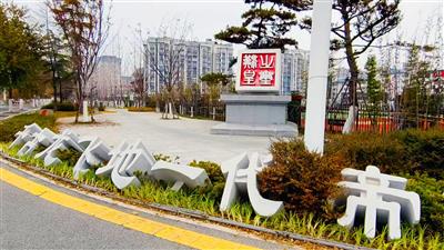 夏津縣城鄉綠化提升項目